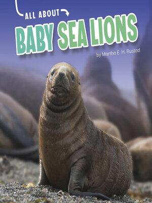 cover image of All About Baby Sea Lions